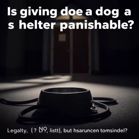 Czy oddanie psa do schroniska jest karalne